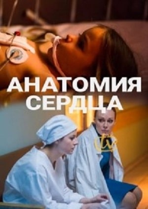 Анатомия сердцасериал, 1-2 сезоны, все серии