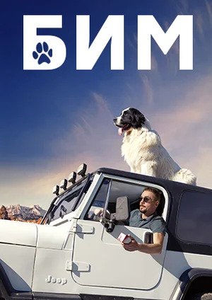 Бим 2022сериал, 1-2 сезоны, все серии