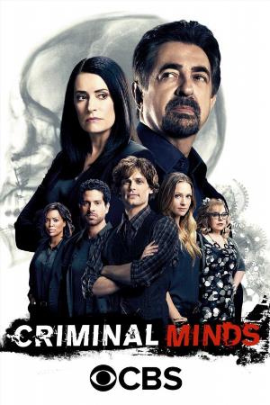 Мыслить как преступник сериал, 1-2 сезоны, все серии
