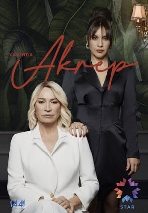 Скорпион сериал, 1-2 сезоны, все серии